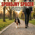 Spokojny spacer. Jak oduczyć psa ciągnięcia smyczy w 30 dni.