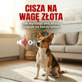 Cisza na wagę złota. Jak wyciszyć psa?