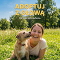 Adoptuj z Głową. Jak adoptować psa?