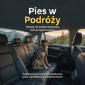 Pies w podróży. Jak pokonać lęk przed jazdą i chorobę lokomocyjną.
